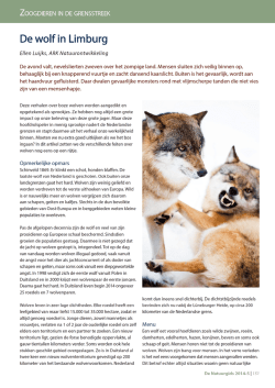 Ellen Luijks Wolven in Nederland