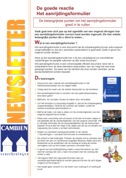 Hoe vul ik het aanrijdingsformulier in?