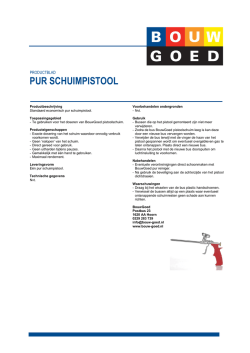 PUR SCHUIMPISTOOL