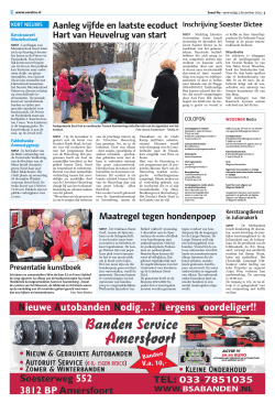 Soest Nu - 3 december 2014 pagina 3