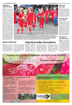 Huis aan Huis Enschede - 17 september 2014 pagina 33