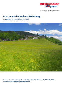 Apartment-Ferienhaus Weinberg in Kirchberg in Tirol