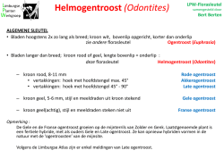 Helmogentroost