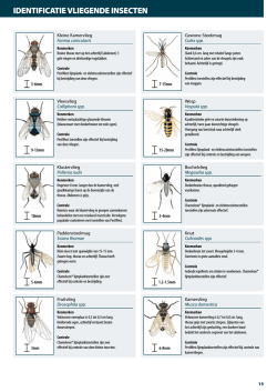 IDENTIFICATIE VLIEGENDE INSECTEN