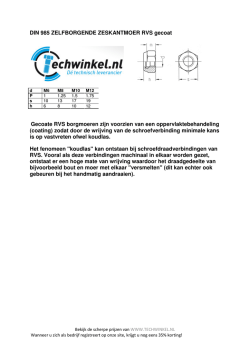 DIN 985 ZELFBORGENDE ZESKANTMOER RVS