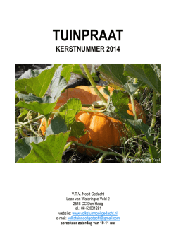 Download (PDF, 2.24MB)