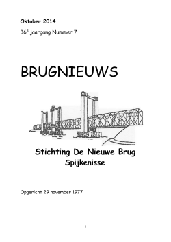 BRUGNIEUWS - De Nieuwe Brug