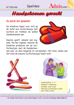 Handschoenen gevecht (vanaf 6 jaar)