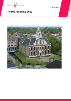 Themarekening 2013 - Gemeenteraad Heerenveen