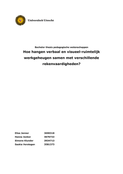 Hoe hangen verbaal en visueel-ruimtelijk werkgeheugen samen
