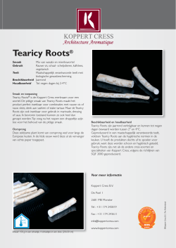 Tearicy Roots - Koppert Cress