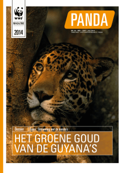 Download de pdf