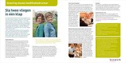 Invoering nieuwe kwalificatiestructuur Sla twee vliegen in