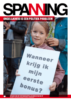 ONGELIJKHEID IS EEN POLITIEK PROBLEEM