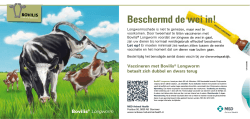 Bovilis Longworm I Flyer - MSD Animal Health Nederland