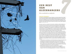 Een nest van kleerhangers