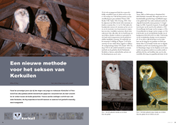 Een nieuwe methode voor het seksen van Kerkuilen