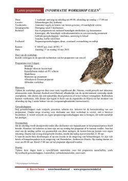 Informatie workshop Uilen