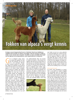 het pdf bestand - Alpaca
