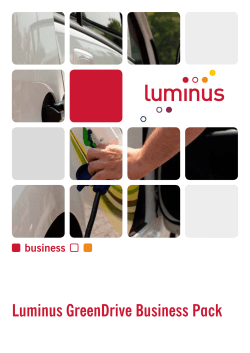 Luminus GreenDrive Business Pack
