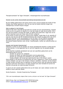 Herstel na een schok