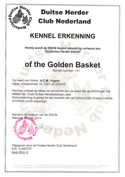 of the Golden Basket
