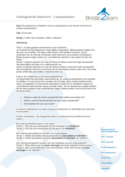 Inzichtgevende werkvorm