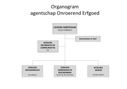 Visio-Organogram V3.1.vsd