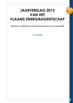 jaarverslag 2013 van het vlaams energieagentschap