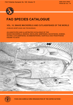 fao species catalogue vol. 15. snake mackerels and cutlassfishes of
