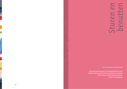 Download boekbijdrage Sturen en benutten (PDF, 275 kB)