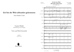 Ich bin der Welt abhanden gekommen