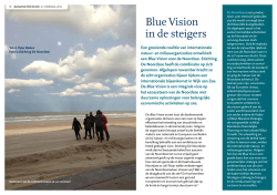 Blue Vision in de steigers