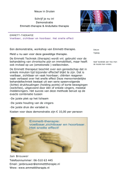 Een demonstratie, workshop van Emmett