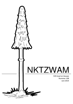 Inktzwam 108