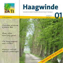 Haagwinde 1