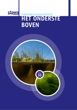 HET ONDERSTE BOVEN