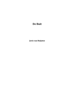 Download in PDF - Joris van Huijstee