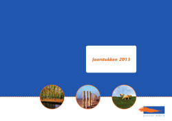 Jaarrekening 2013 - raadbergen