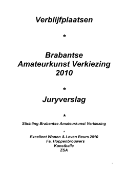 Klik hier voor het JuryRapport - Brabantse Beeldende Amateurkunst
