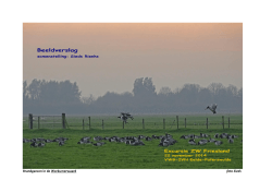 2014-22-11 BEELDVERSLAG Vogel-excursie Zuidwest