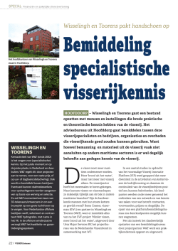 dit artikel - Wisselingh en Toorens