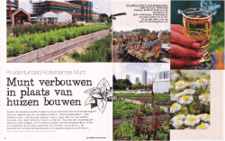 een zonnige reportage!
