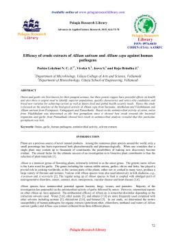 Efficacy of crude extracts of Allium sativum and Allium cepa against