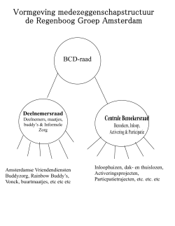 medezeggenschapsstructuur