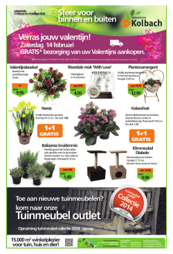 De Toren - 12 februari 2015 pagina 17