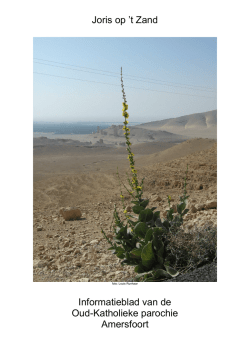 Informatieblad Joris op `t Zand febr-maart 2015