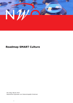 Roadmap SMART Culture