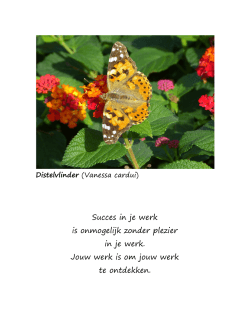 Kracht van vlinders