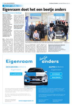 Nieuwe Stadsblad - 18 februari 2015 pagina 17